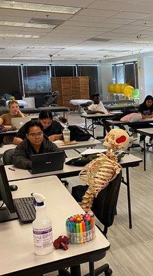 Techniques in class today and all are studying hard. #fremontlife