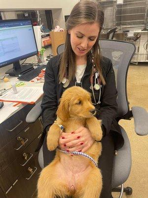 Puppy patient with nurse