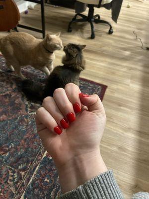 Today's SNS nails (featuring kissing cats)