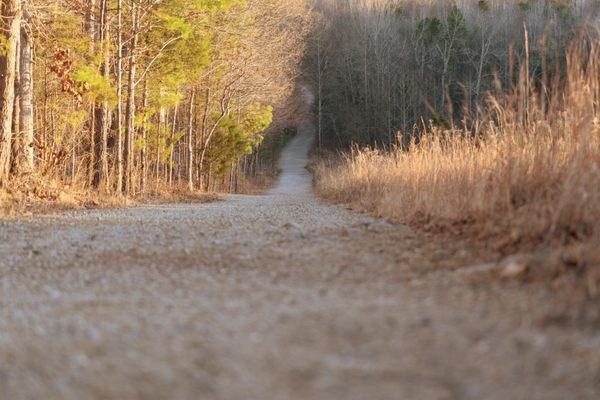 Hiking trail and surrounding area