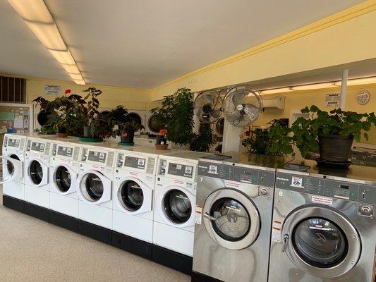 Woodstock Laundromat