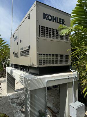 80kw Kohler on a nicely finished concrete stand.