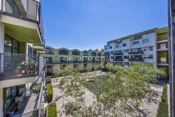 Homes at Esprit Park Courtyard