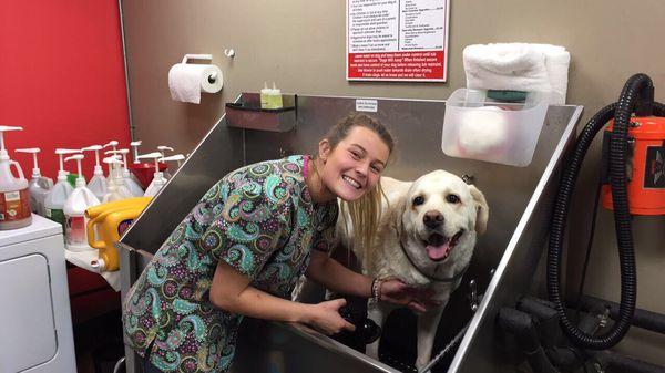 Groomer Sarah and Rally!