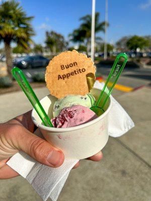 Strawberry & Mint Chip gelato