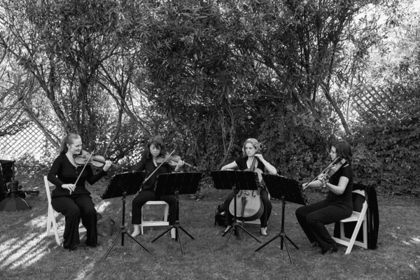 Bay Area Strings Quartet
 
 Photo Credit: @JennyDeePhotography