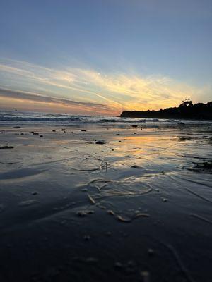 Refugio State Beach