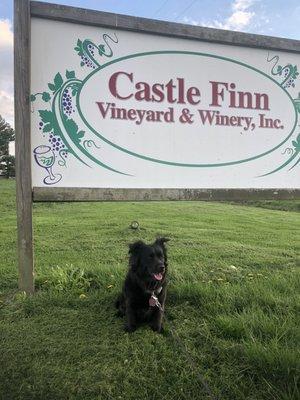 Castle Finn Vineyard & Winery