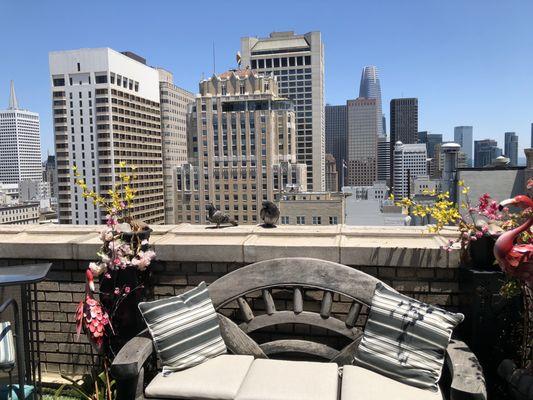 Balcony view