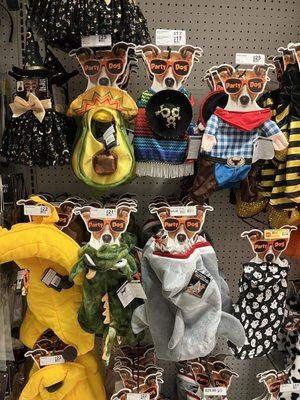 Dog costumes