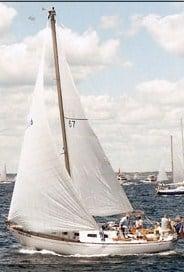 The start of the Halifax Race