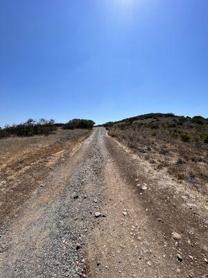 Corte Playa Catalina Trail