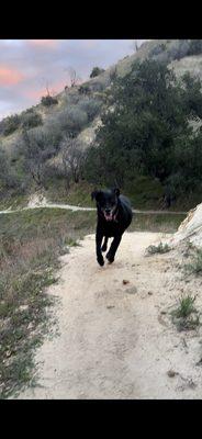 Rivendale Park And Open Space- Taylor Trailhead