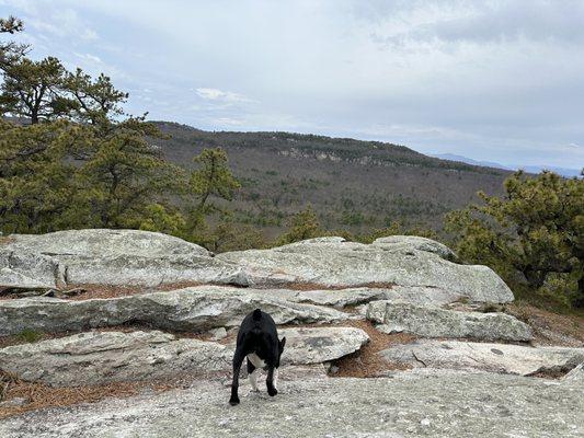 Mohonk Preserve