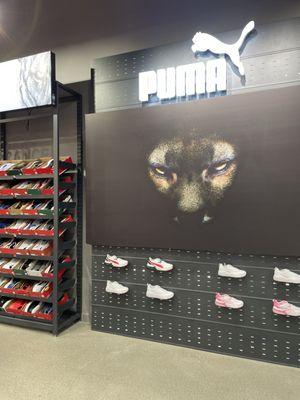 Puma Store