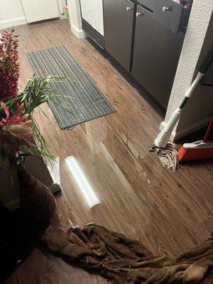 Flooding in the kitchen due to plumbing