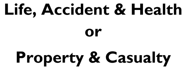 Life and Health or Property and Casualty