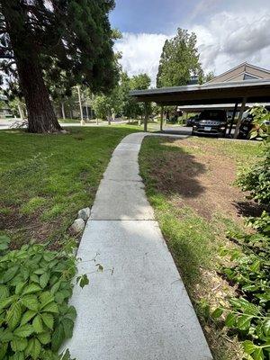 The dead grass and unkempt landscaping. Such a disgrace and embarrassment to have any guests see where we lived.