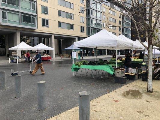 Thursday, December 18, 2019: farmers market a out to open.