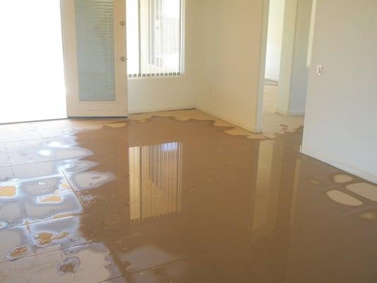 FLOODED CALL NOW! 836-2152