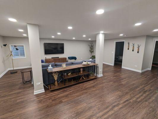 Basement living room