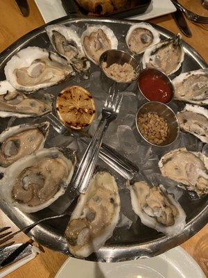 Oysters