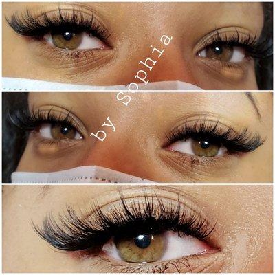 Lisa's Lash 