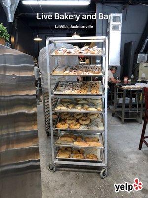 Live Bakery and Bar