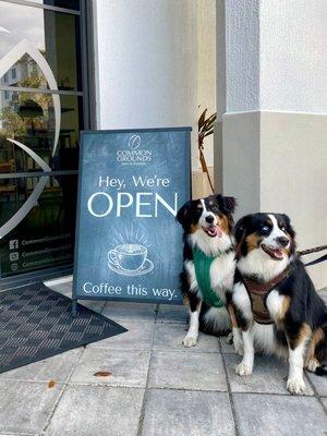 Dogs welcome at Common Grounds coffeeshop!