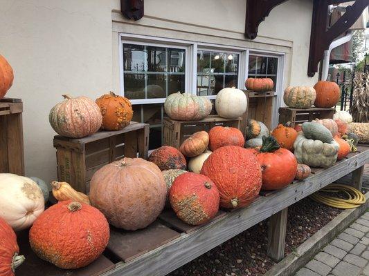 Hillcrest Farms & Greenhouse