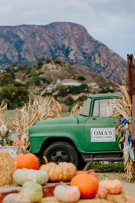 Oma's Pumpkin Patch