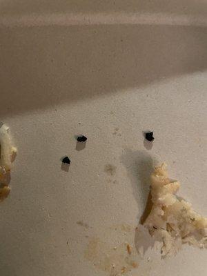 Broken black plastic in my classic shrimp burrito???