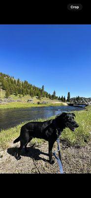 Yose in Yellowstone