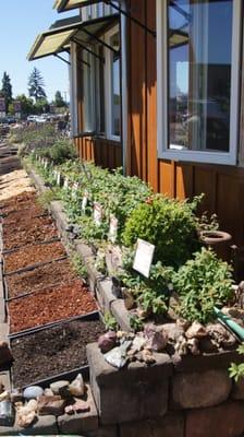 Product display, Eugene yard