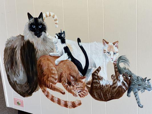 Cat mural at the Cat Clinic Mill Valley