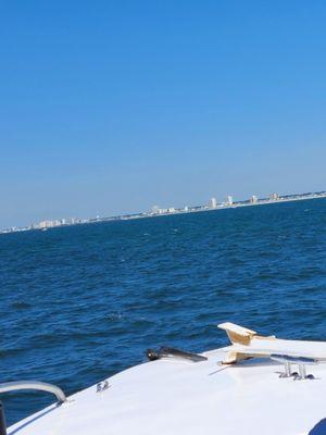 Myrtle Beach Dolphin Cruises - Sea Thunder