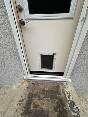 1/2 lite Fiberglass door with Doggie door,