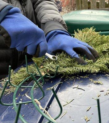 Christmas wreath greens are held in place with prongs that can be pulled apart to release greens for composting after Christmas.  No wires.