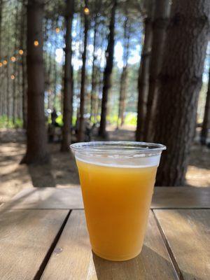 Apricot Mango Gose