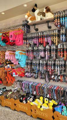 Collars, leashes, bandanas, toys, and more!