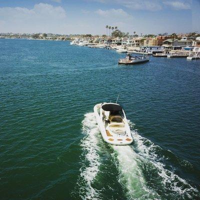 Harbor Tours