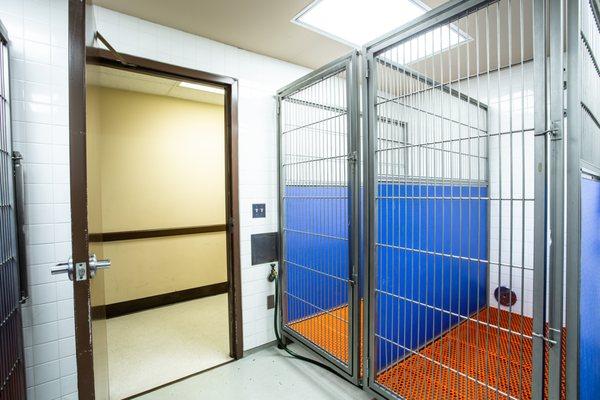 Large Kennels