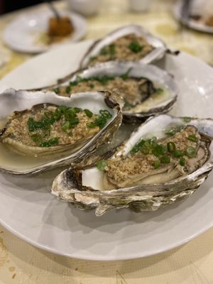 Oysters are ginormous