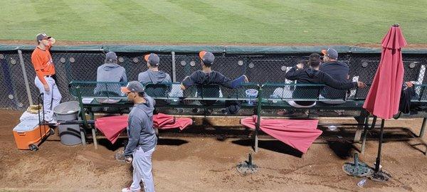 The Bullpen