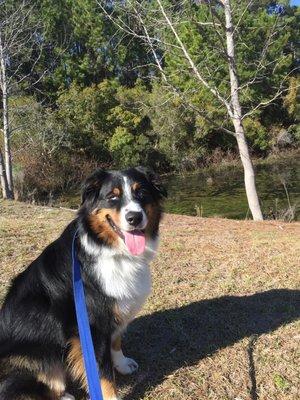 Riley smiling while on a walk with Sarah!