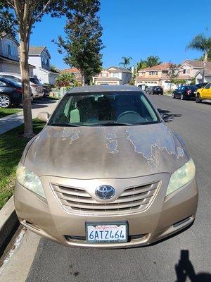 Her hood was all faded and the front lights were old and cloudy. He painted and shined up the lights.