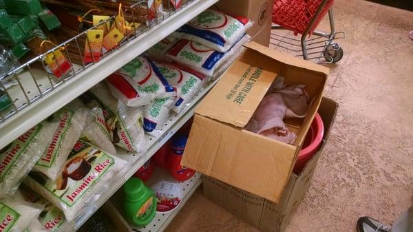 Oh just browsing the kitchen utensils and rice aisle. PIG EARS IN A BOX? Yes, those definitely belong here.