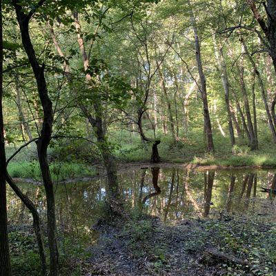 Robert C McDonnell Campground