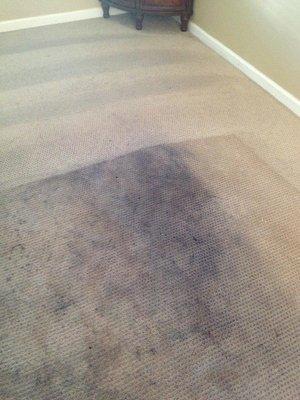 Upholstery cleaning