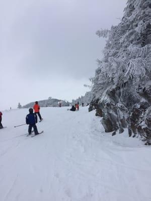 Jay Peak 2016